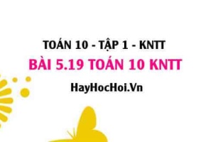 Bài 5.19 SGK Toán 10 Kết nối tri thức tập 1